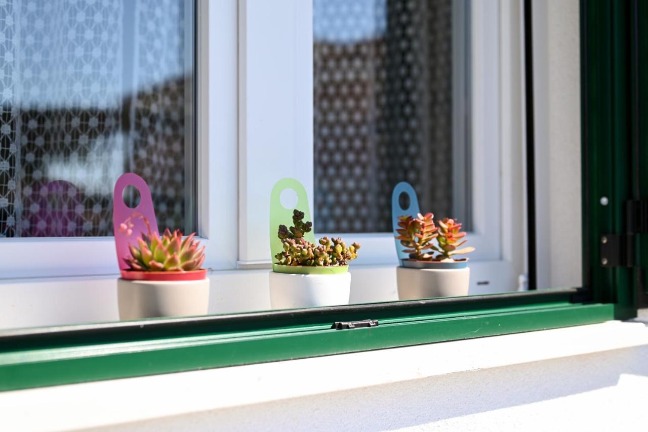 Apartments Art تروغير المظهر الخارجي الصورة